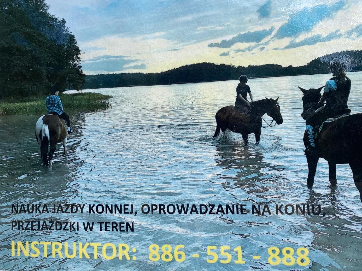 Domek Borsk Εξωτερικό φωτογραφία